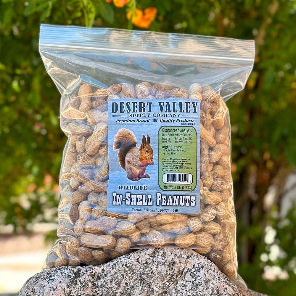 Desert Valley – Cacahuetes de concha prémium – Wild Bird – Alimento para vida silvestre, ardillas, ardillas, cardenales, arrendajos y más (2 libras)