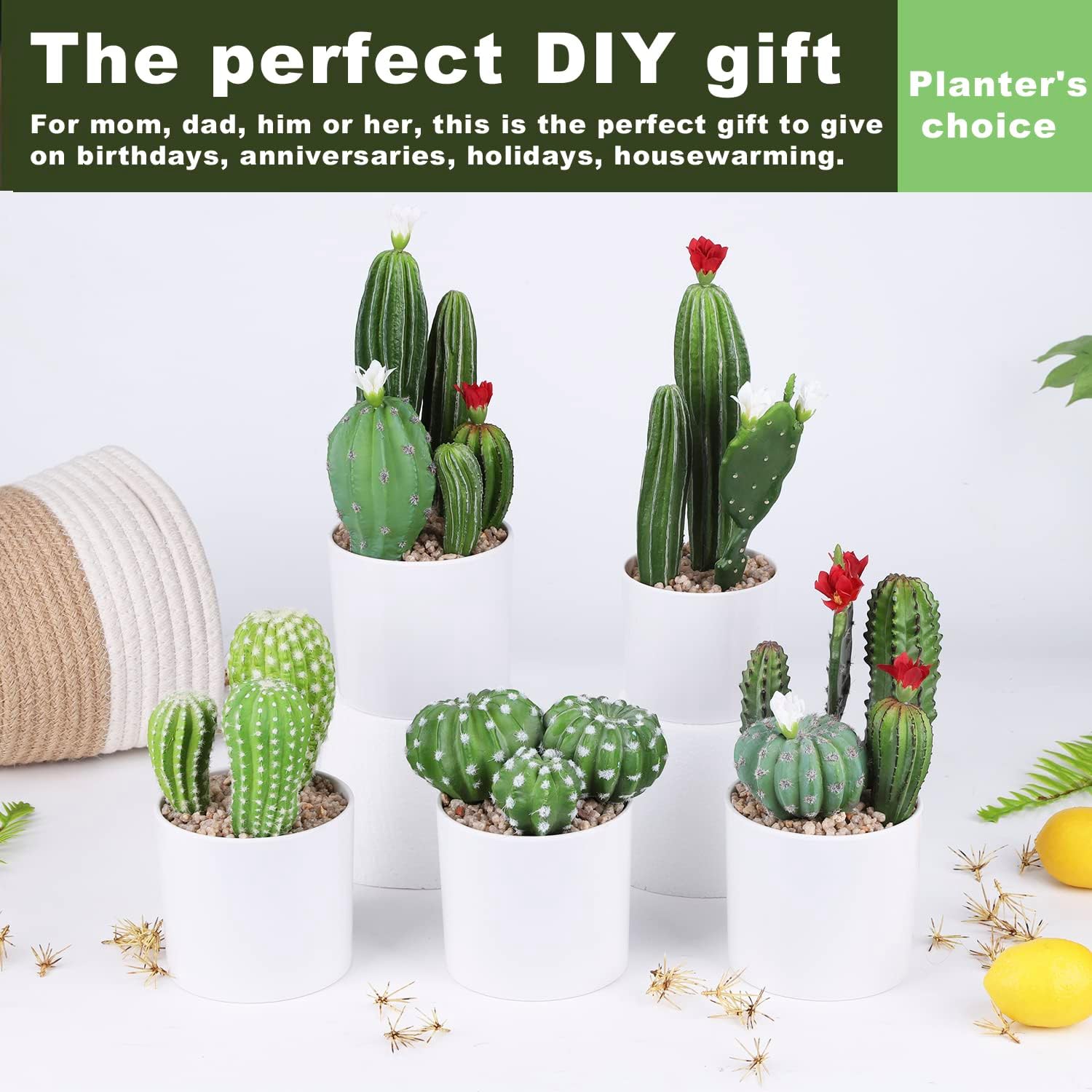 Cactus artificial de flores artificiales, suculentas, planta suculenta falsa de 9.8 pulgadas para decoración de escritorio, hogar, oficina, 1 unidad