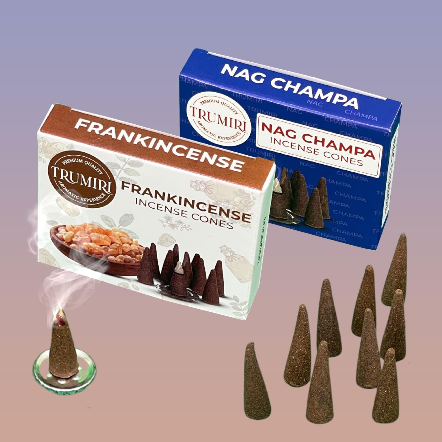Conos de incienso  Paquete combinado de 20 conos de incienso  10 incienso + 10 Nag Champa  Conos de insencia  Conos de incienso perfumados  Aromas