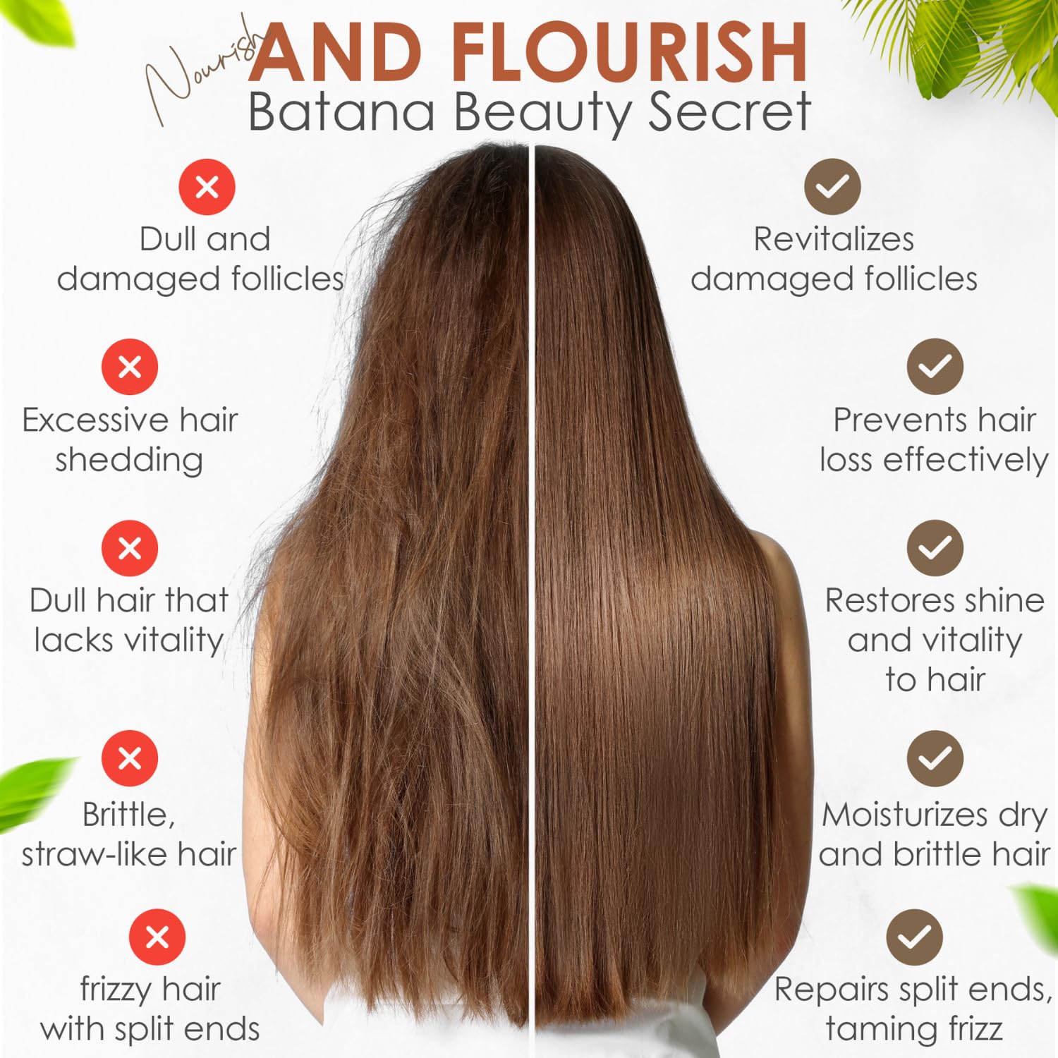 Aceite de batana para el crecimiento del cabello  Aceite de batana orgánico aprobado por Dr. Sebi & Dr Truth para el crecimiento del cabello,