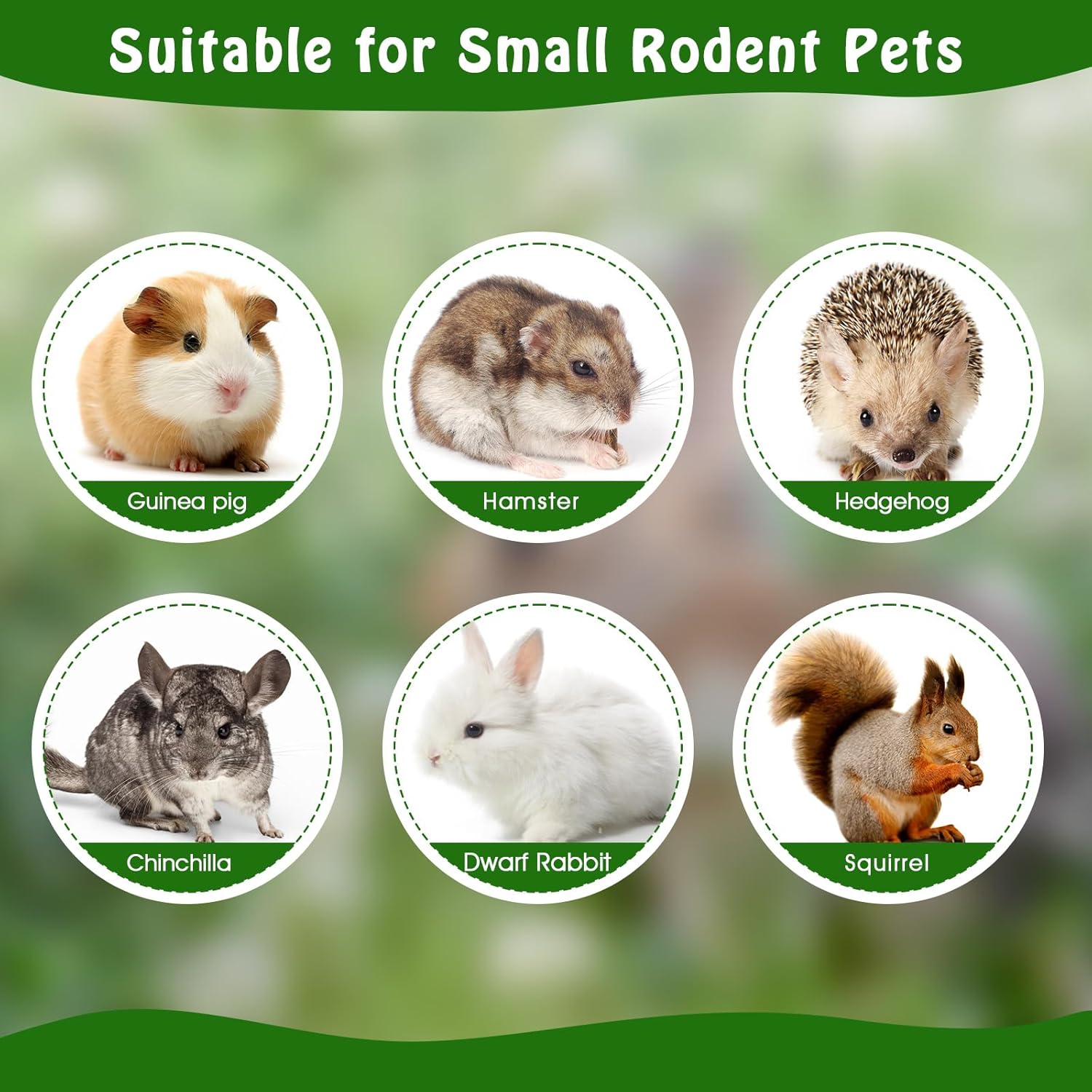 BWOGUE 35.27 oz Pet Snacks Dulce Bambú Masticar Juguete para Ardilla Conejos Guinea Pigs Chinchilla Hamster