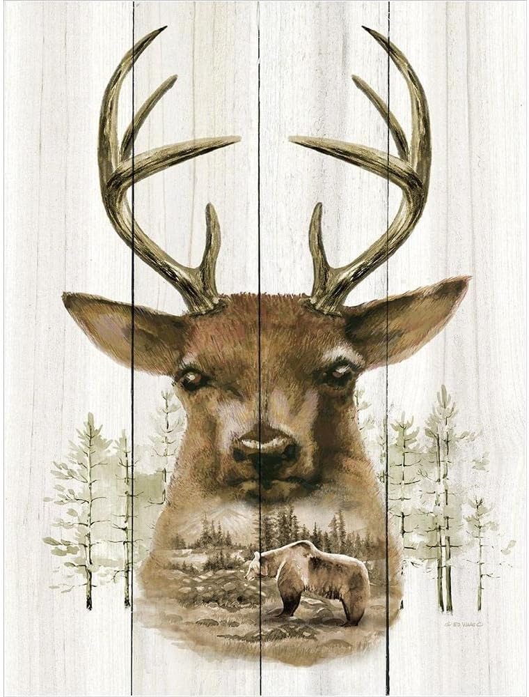 ArtDirect Deer Wilderness Portrait 11×14 UnFramed Art Print Poster Ready for Framing by Wargo, Ed