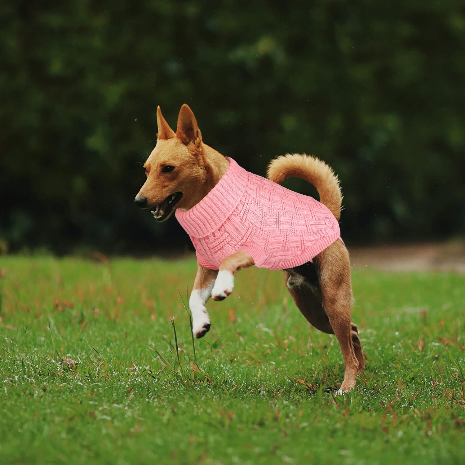 ASENKU Suéter pequeño para perro, ropa de punto para clima frío, ropa clásica de cuello alto grueso y cálida para chihuahuas, bulldogs, perros