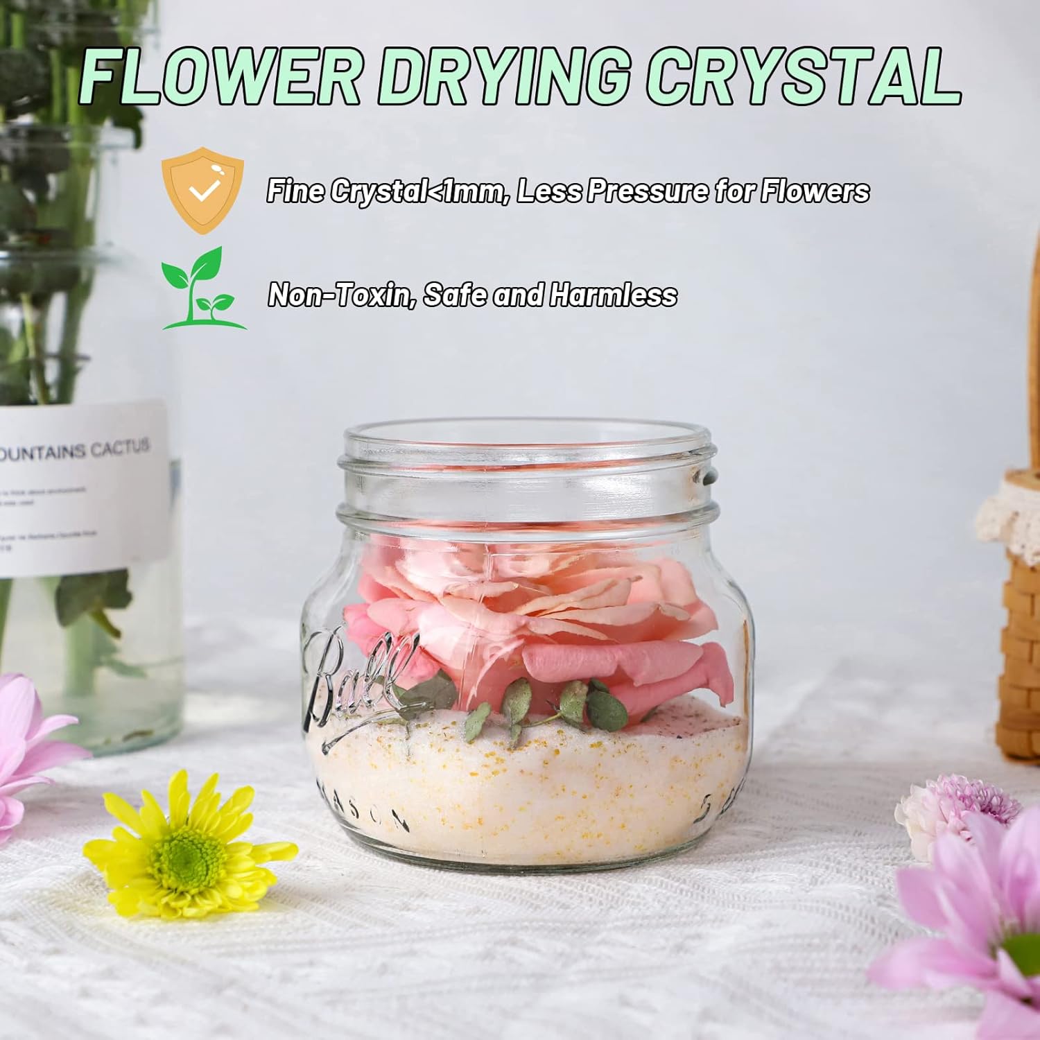 Eazy2hD Desecante de cristales de secado de flores de gel de sílice de 5 libras con recipiente sellado y guantes para kit de preservación de ramo de