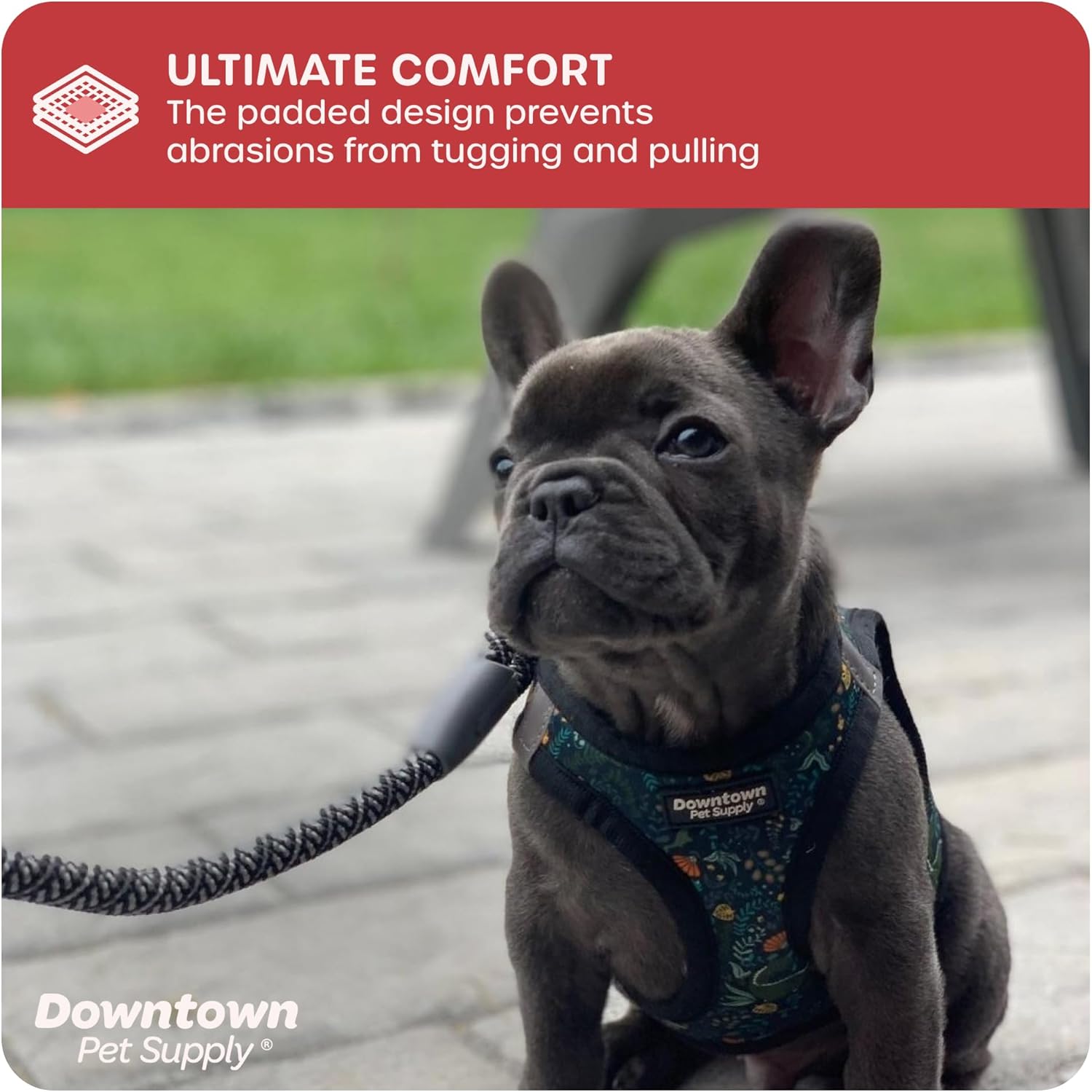 Downtown Pet Supply – Arnés ajustable para perro con chaleco acolchado, sin tirones, fácil de poner, para perros pequeños, medianos y grandes
