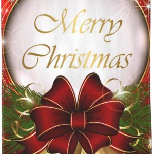 DADABULIU Toalla de mano con diseño de campanilla de Navidad con copos de nieve, toallas de cocina con punta de los dedos, 27.5 x 15.7 pulgadas, DADABULIU Toalla de mano con diseño de campanilla de Navidad con copos de nieve, toallas de cocina con punta de los dedos, 27.5 x 15.7 pulgadas,