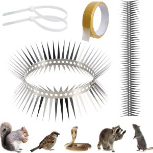 Picos de acero inoxidable para palomas y pájaros pequeños, no más nidos de pájaros y excrementos de pájaros, adecuados para alféizares de ventanas Picos de acero inoxidable para palomas y pájaros pequeños, no más nidos de pájaros y excrementos de pájaros, adecuados para alféizares de ventanas