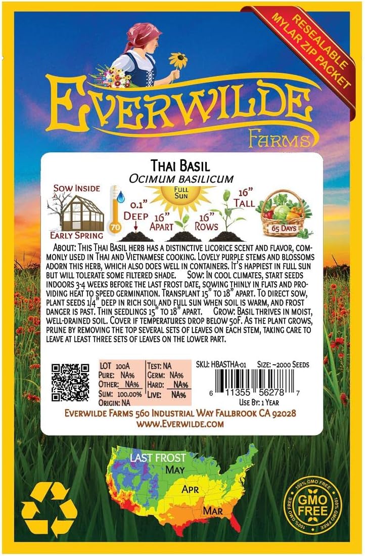 Everwilde Farms – 2000 semillas de hierbas de albahaca tailandesa – Paquete de semillas jumbo Gold Vault