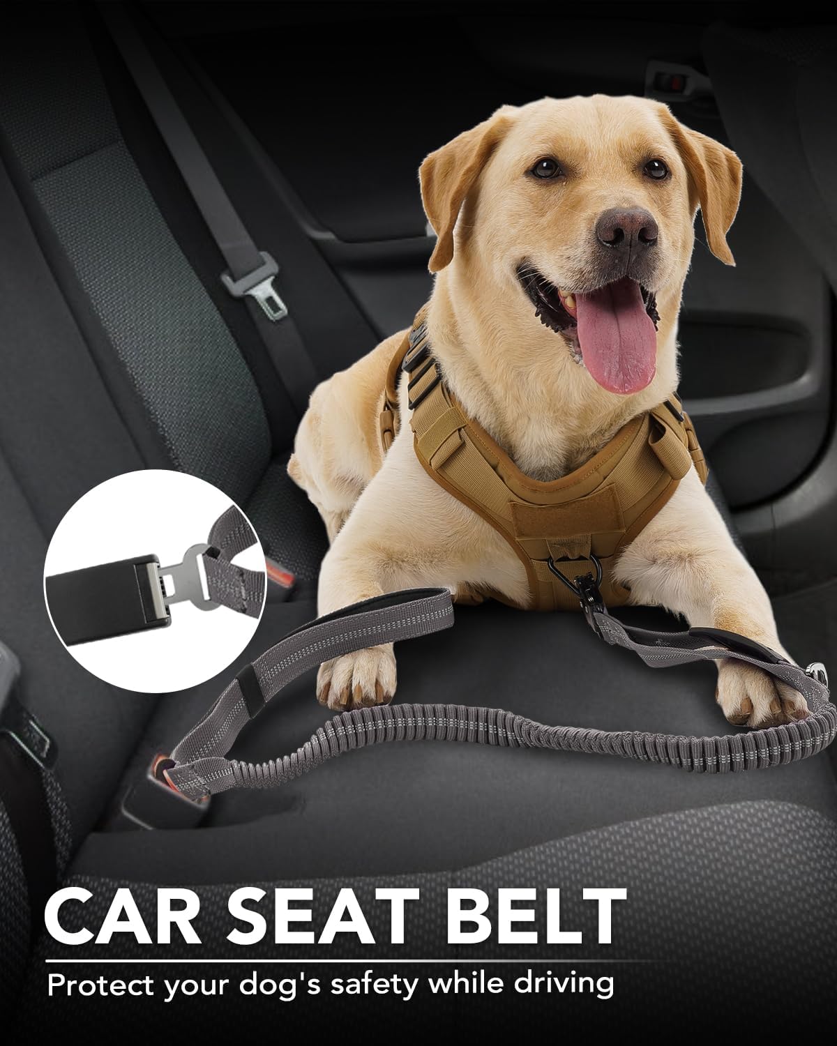 Joytale Correa táctica resistente para perro, 4-6 pies, con absorción de golpes, con 2 asas acolchadas, correa para perro sin tirones con clip de