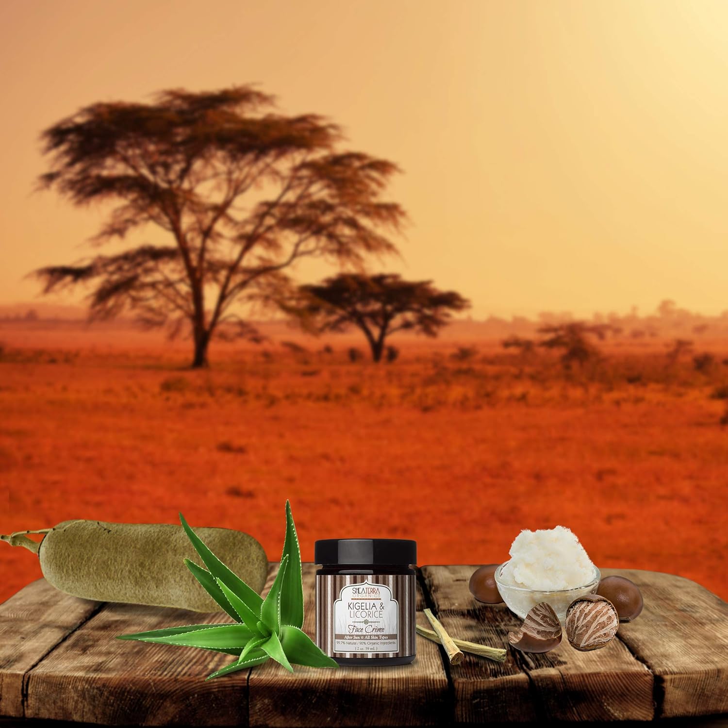 Shea Terra Kigelia Age Defense Collection – Crema facial para después del sol  Crema facial natural antienvejecimiento con raíz de regaliz, manteca