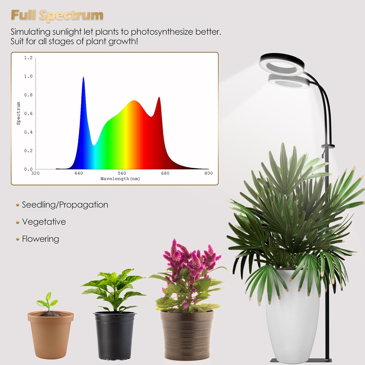 GLOWRIUM Luz de cultivo con soporte, luz LED de 2 cabezales para plantas de interior, lámpara de crecimiento de espectro completo, temporizador de
