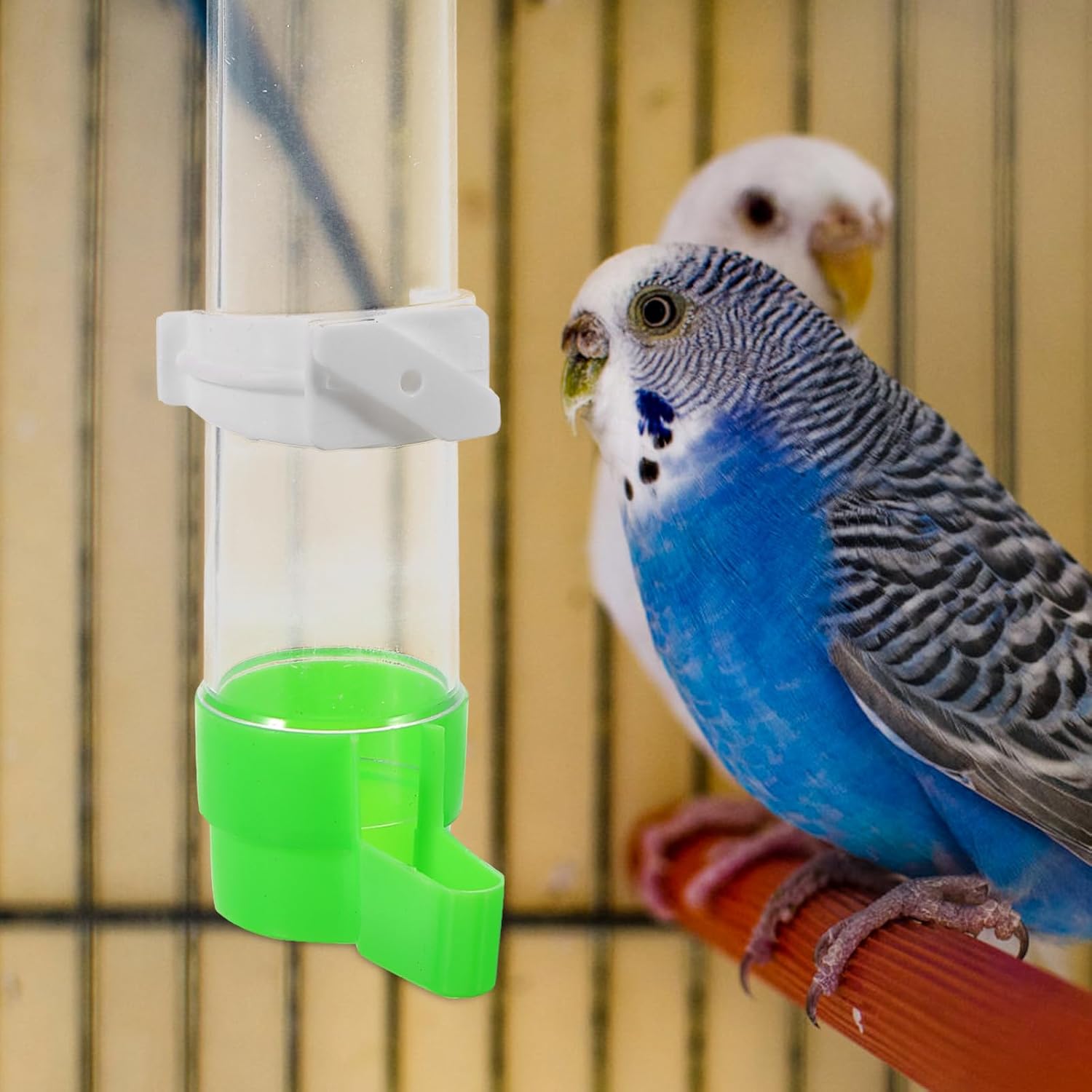 Bebedero de pájaros Fuente de agua para pájaros Dispensador de agua para pájaros, alimentador de loros, accesorios para jaula de pájaros,