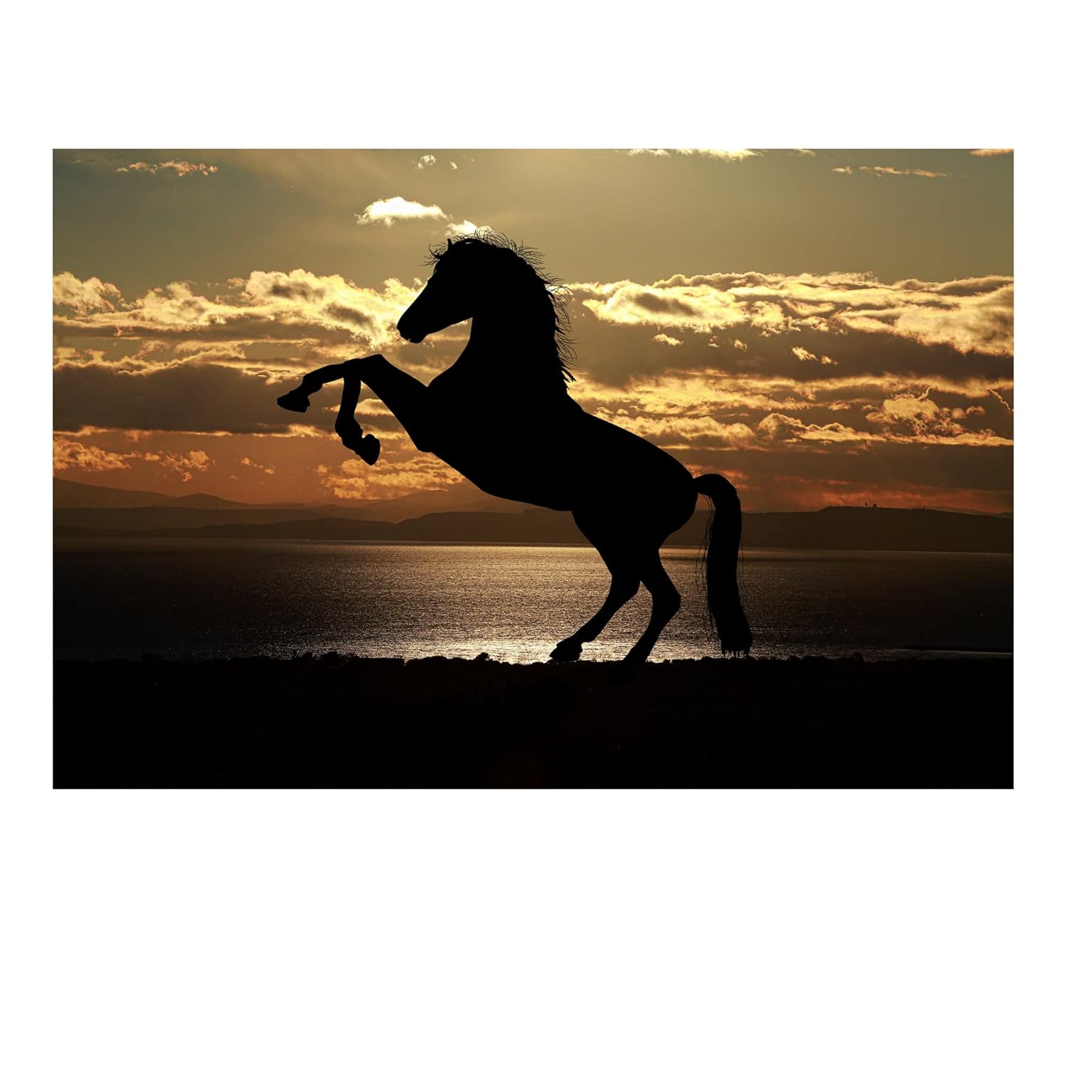 Majestic Horse at Sunset – Animal Wall Decor, Stallion Rearing Up On The Beach Wall Art Dusk Photo Print is Ideal for Home & Office Decor. Great