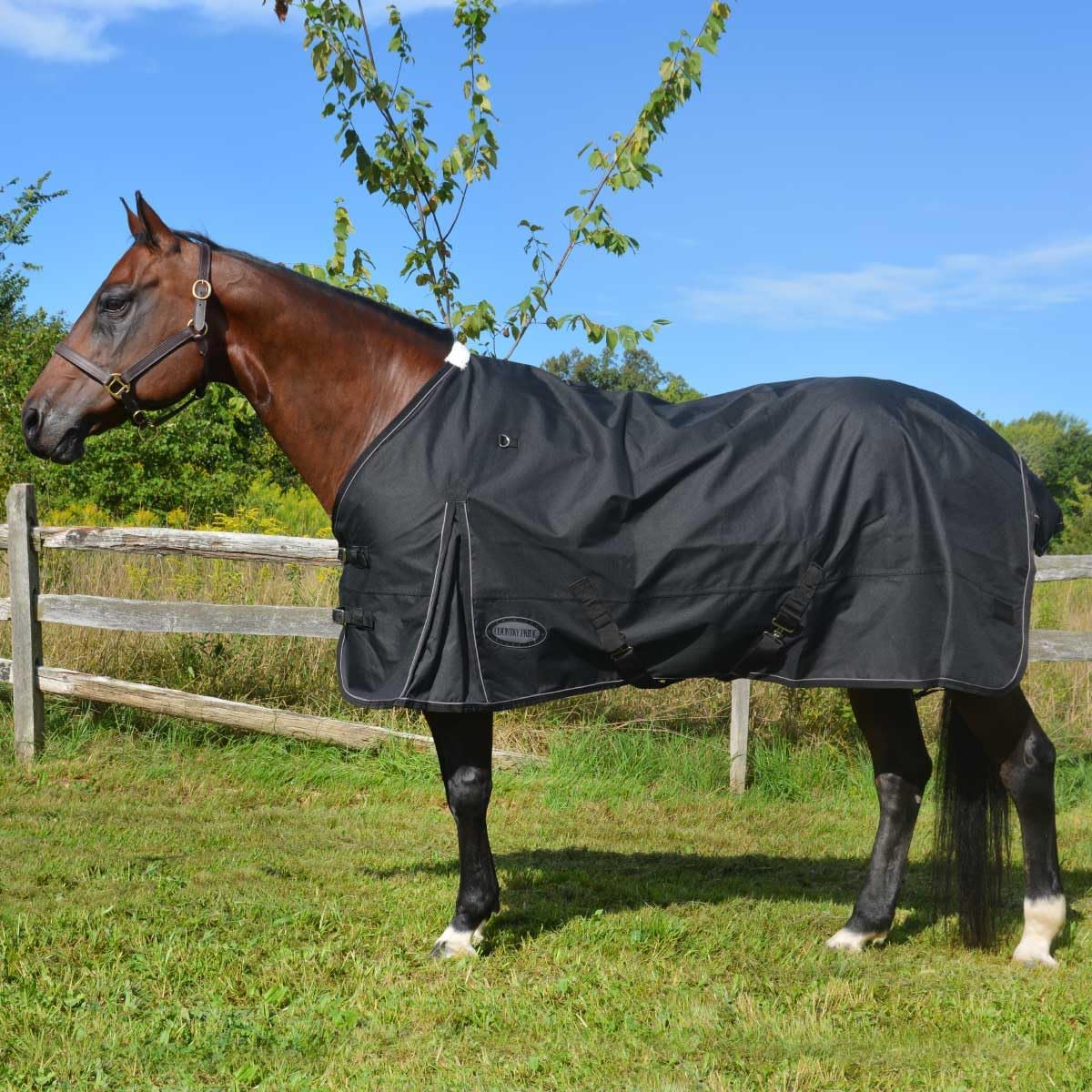 Glacier 600D Turnout Rainsheet, negro, 58″