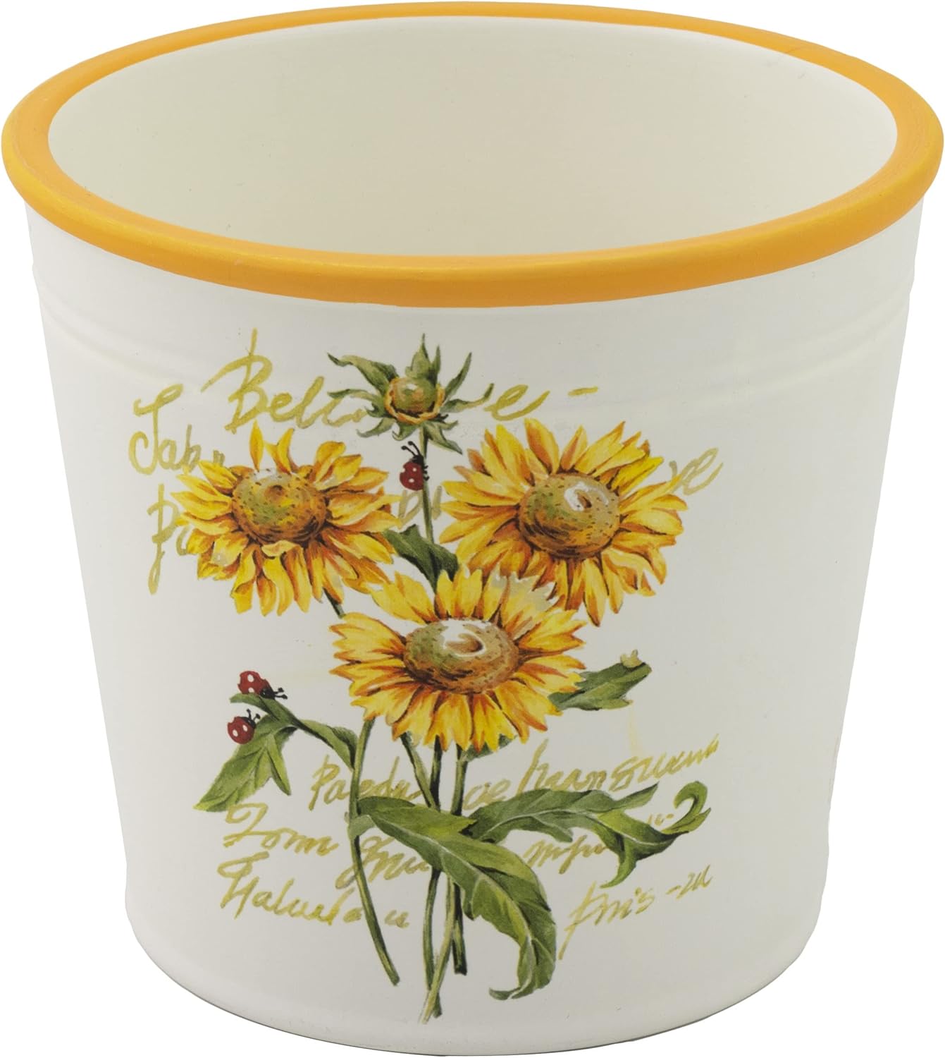 Boston International Maceta de jardín para interiores y exteriores, 4.75 x 4.25 pulgadas, maceta de girasol