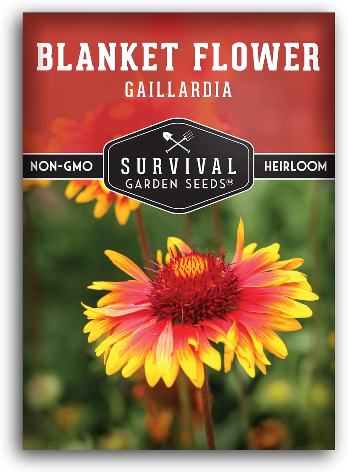 Survival Garden Seeds – Semillas de flores para plantar – Paquete con instrucciones para plantar y cultivar Gaillardia Pulchella en el huerto de tu