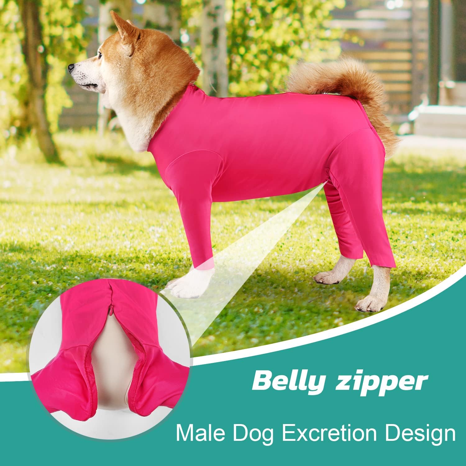 Etdane Mameluco para perro para después de la cirugía, traje de recuperación quirúrgica para mascotas, body anti desprendimiento, pijama de manga