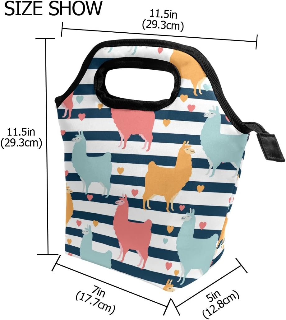 Bolsa de almuerzo con diseño de llama con rayas de neopreno aislado, calentador refrigerador, portátil, divertida, bolsa de almuerzo para hombres,