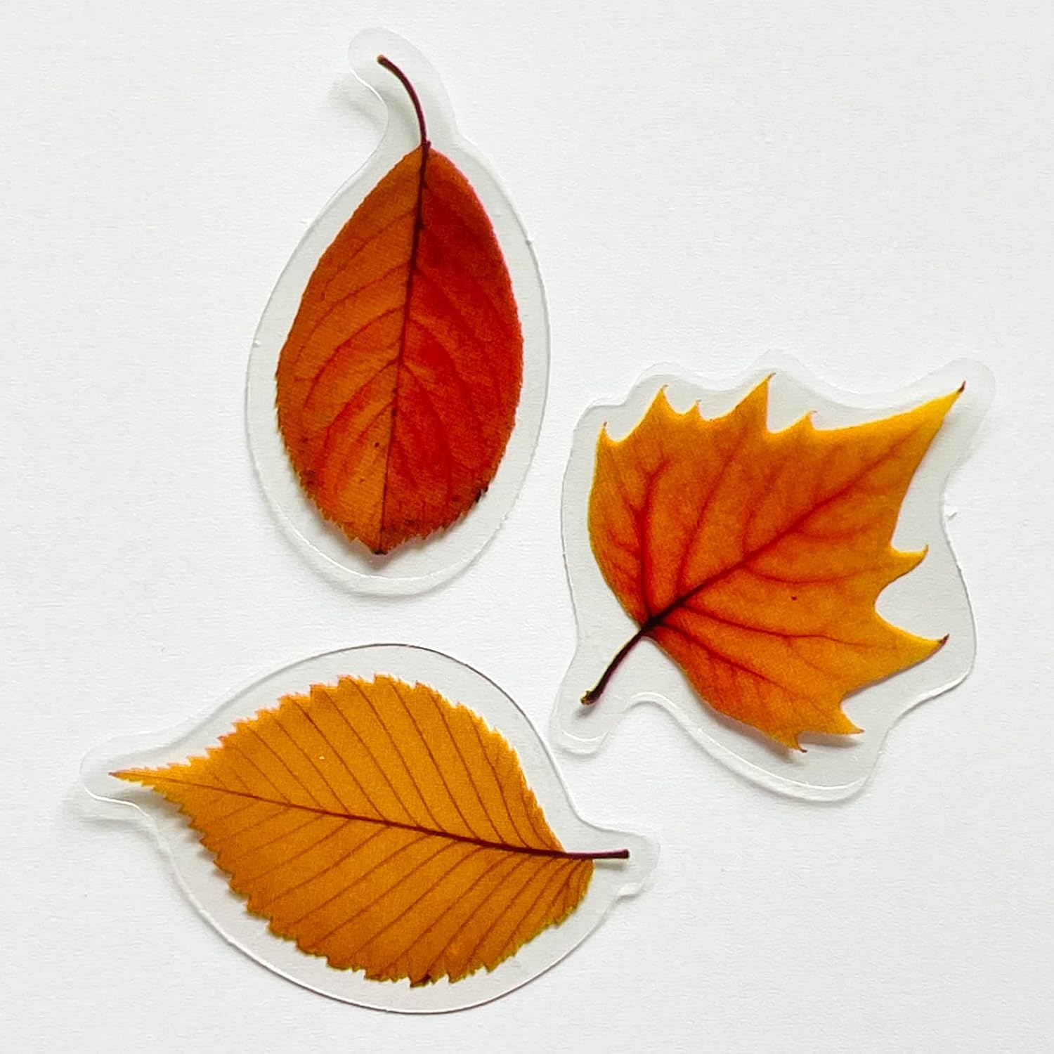 Juego de 40 calcomanías de flores transparentes, impermeables, reutilizables, sin residuos, para planificador de diario, maleta, portátil, álbum de