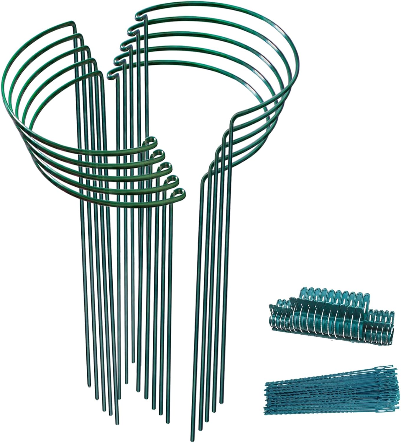 Paquete de 10 estacas de soporte para plantas, jaulas y soportes de peonía de metal de 10 pulgadas de ancho x 24 pulgadas de alto, estacas para
