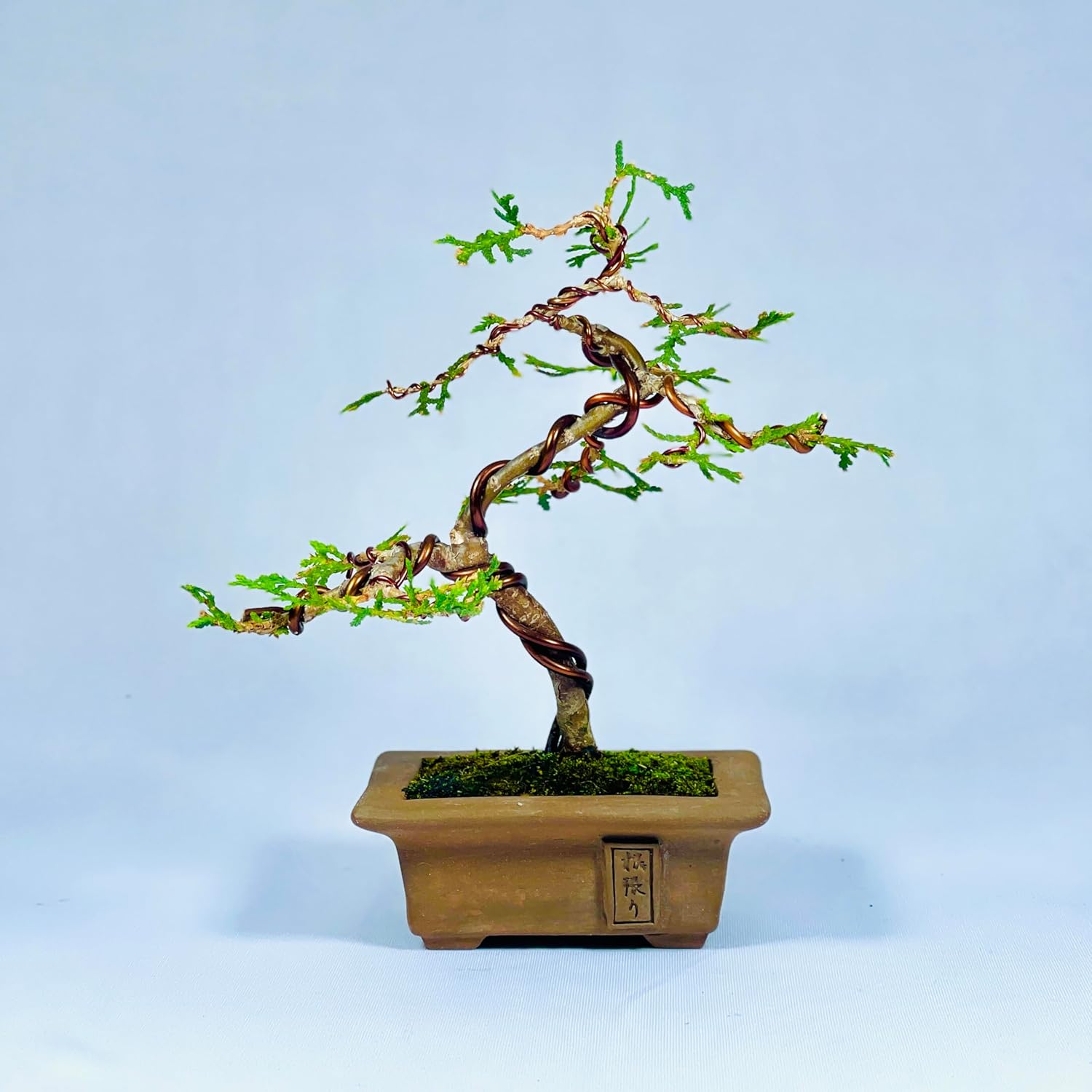 Maceta para bonsai Tokio miniatura