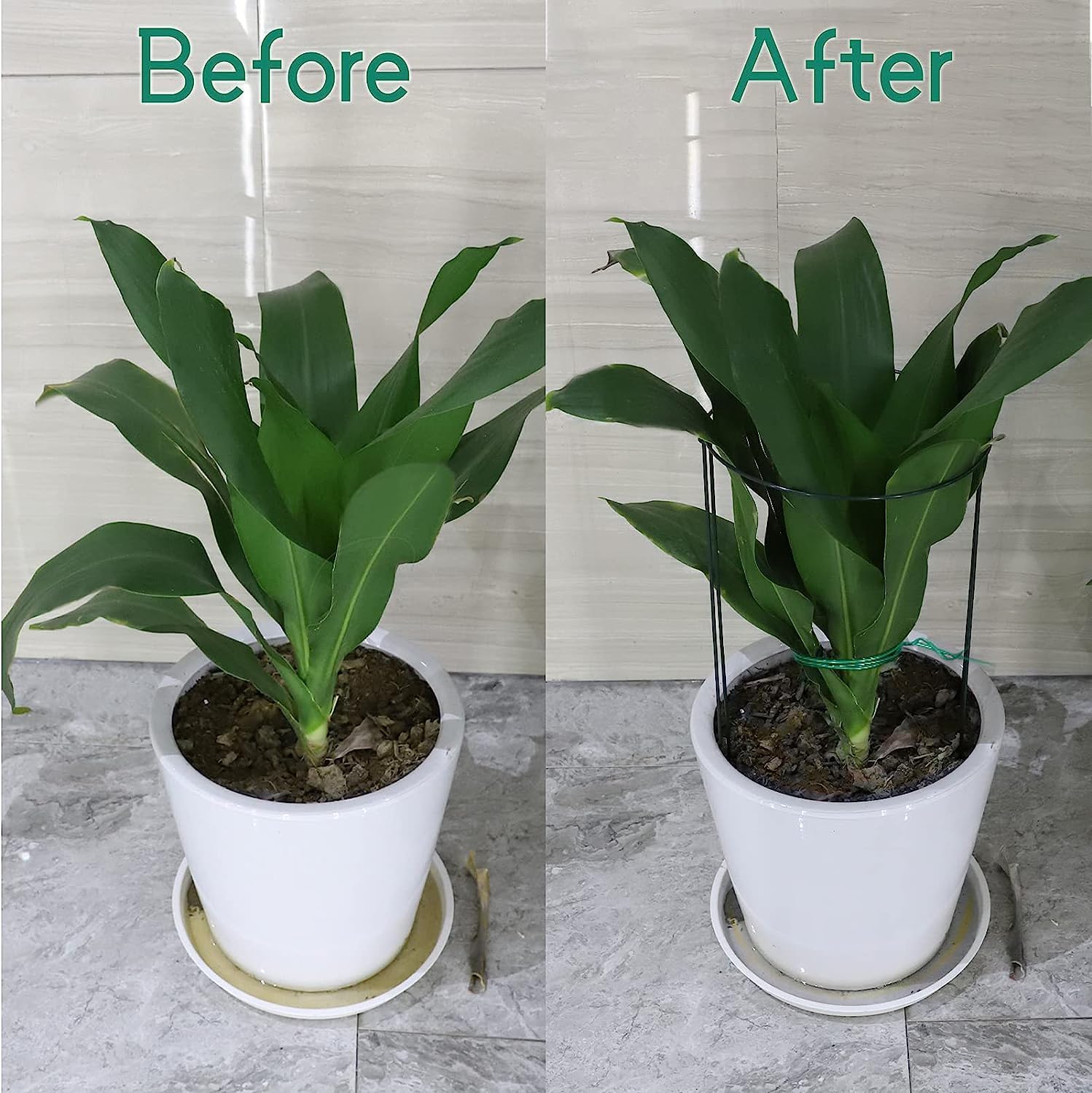 Paquete de 10 estacas de soporte para plantas, jaulas y soportes de peonía de metal de 10 pulgadas de ancho x 24 pulgadas de alto, estacas para