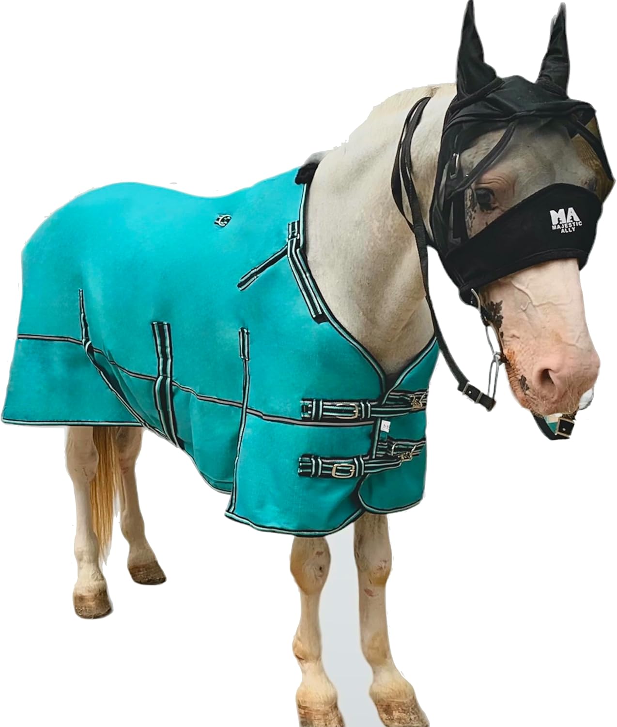 Majestic Ally Manta 1200D Ripstop Horse Turnout de 250 GSM relleno (turquesa, 80 pulgadas)