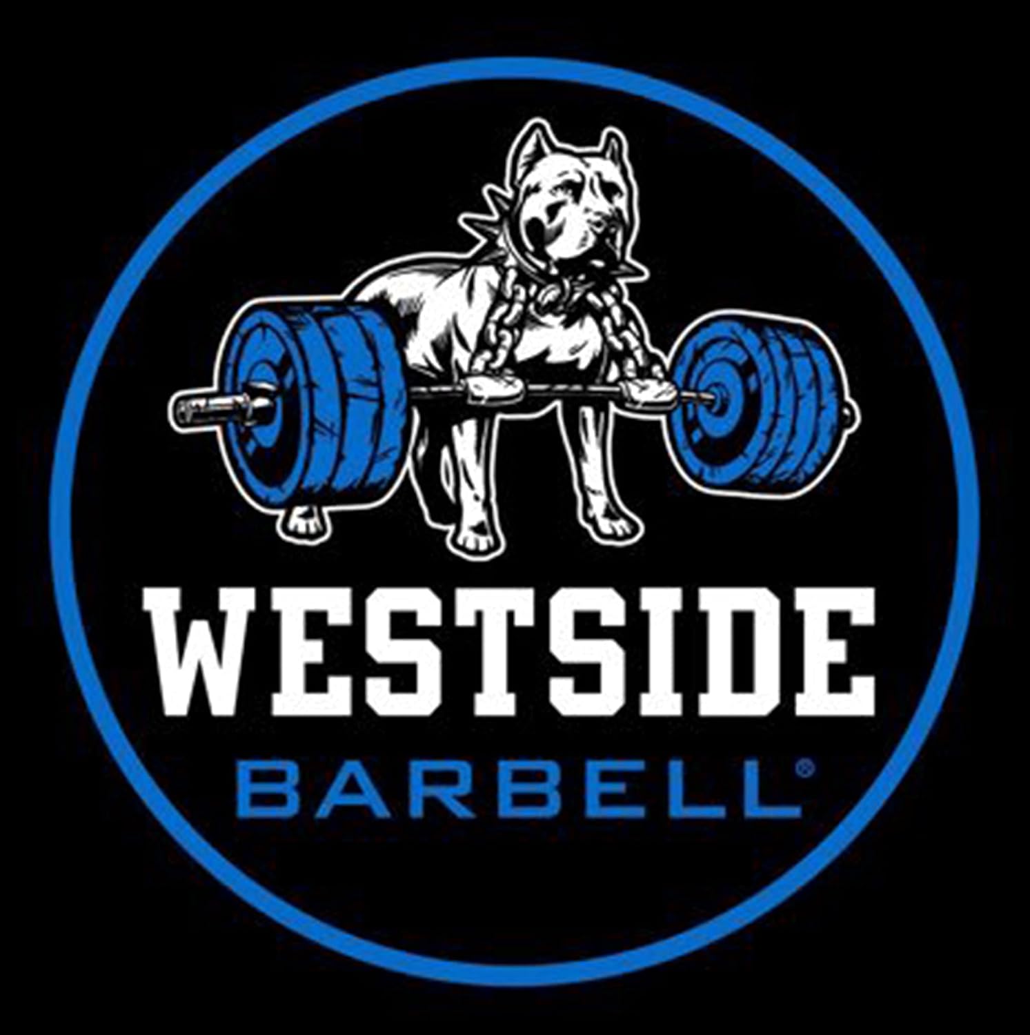 Westside Barbell Bandas de resistencia, bandas de ejercicio de entrenamiento resistentes, bandas para sentadillas de resistencia