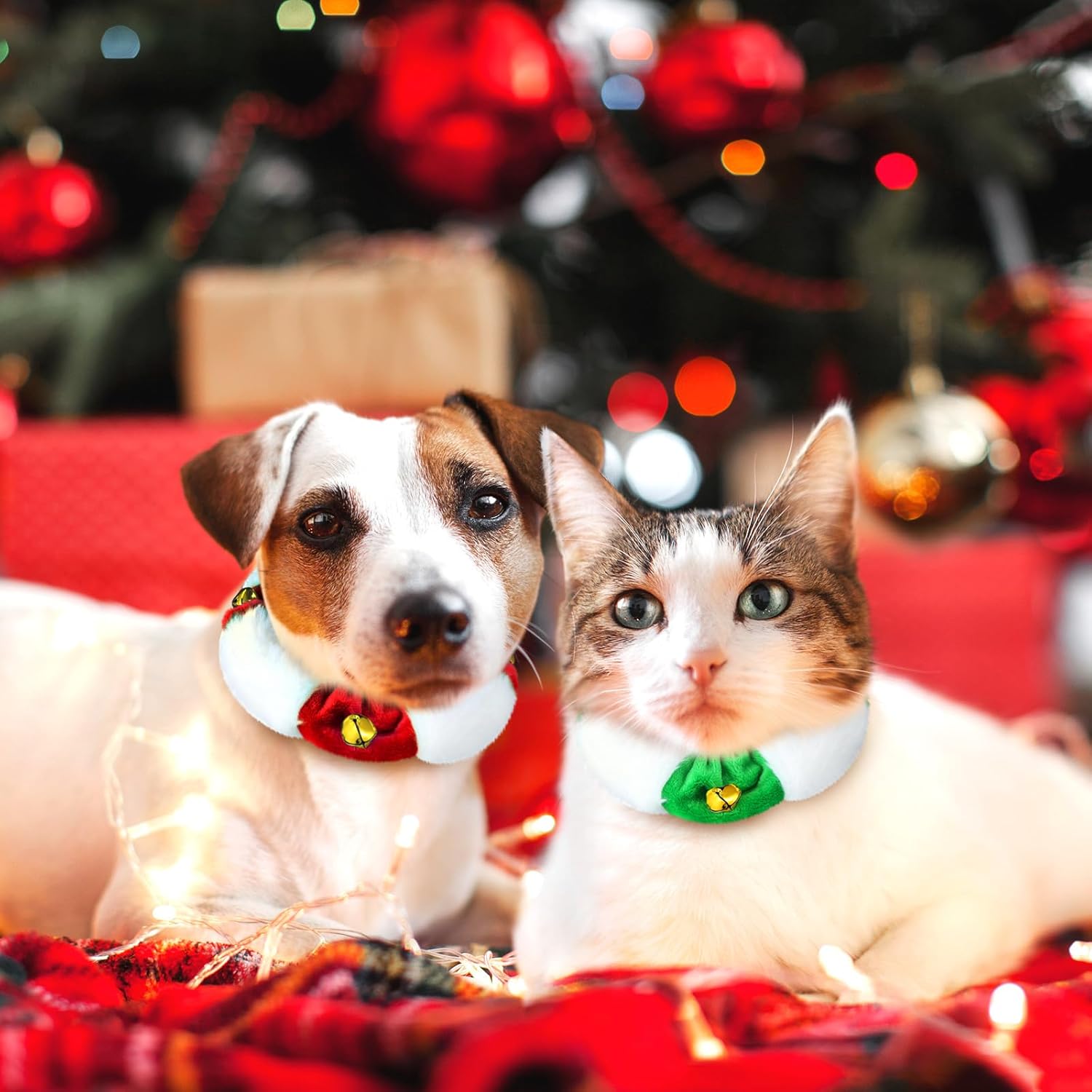 3 piezas de collar de cascabel de peluche navideño para perro, blanco, rojo, verde, elástico, festivo, día festivo, collar elástico de Navidad para