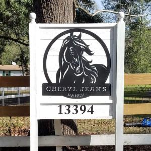 RealSteel, Custom Metal Sign, Personalized Horse Stable Signs, Farmhouse Wall Decor, Family Name Art, Custom Name, Porch, Patios, Gift RealSteel, Custom Metal Sign, Personalized Horse Stable Signs, Farmhouse Wall Decor, Family Name Art, Custom Name, Porch, Patios, Gift