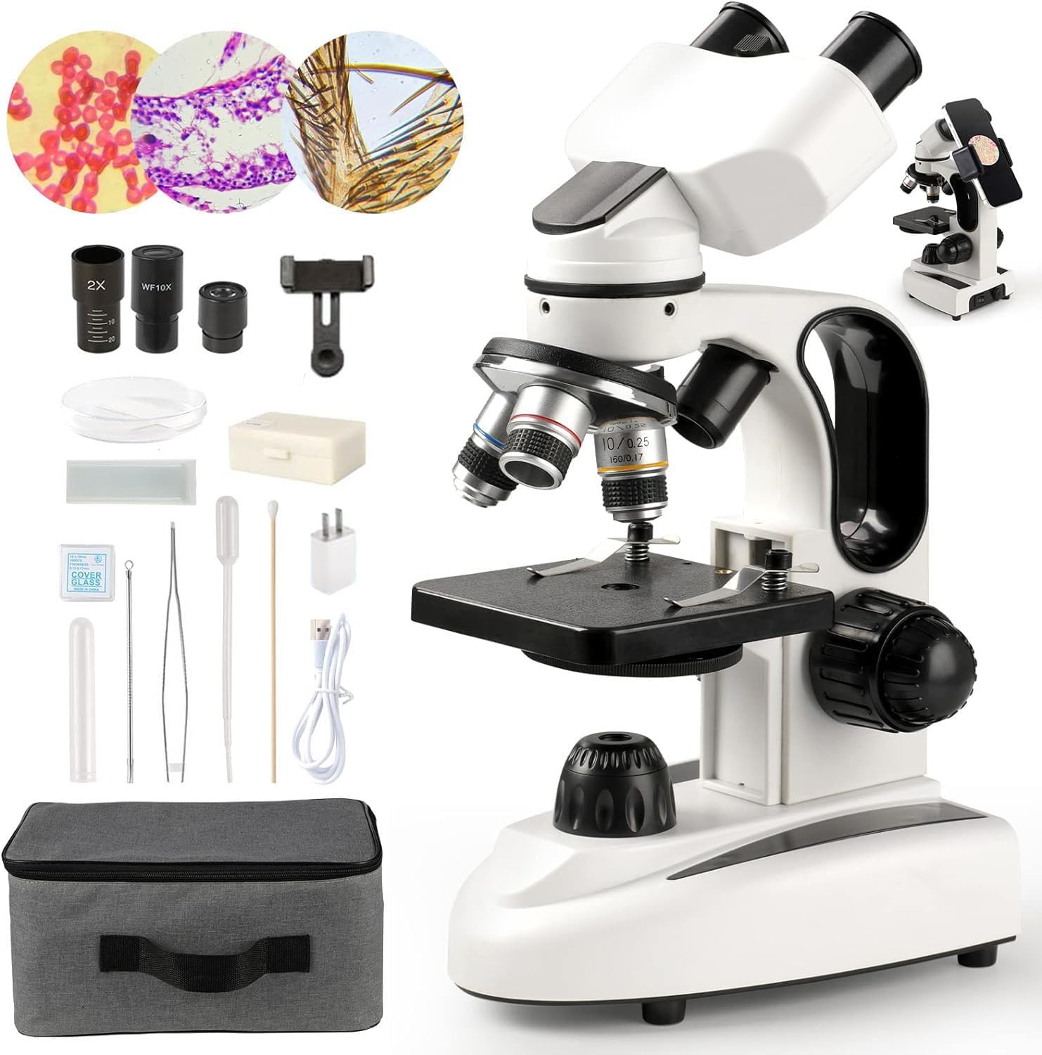Sedumic Microscopios biológicos binoculares para laboratorio escolar, educación en el hogar, microscopios 100X-2000X para niños, estudiantes,