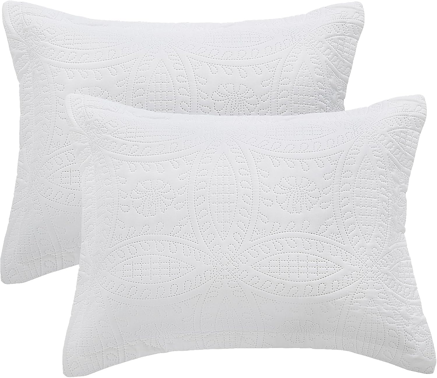 HOMBYS Juego de 2 fundas de almohada acolchadas tamaño King con patrón de moneda de estilo moderno con cierre de sobre, duraderas, suaves y