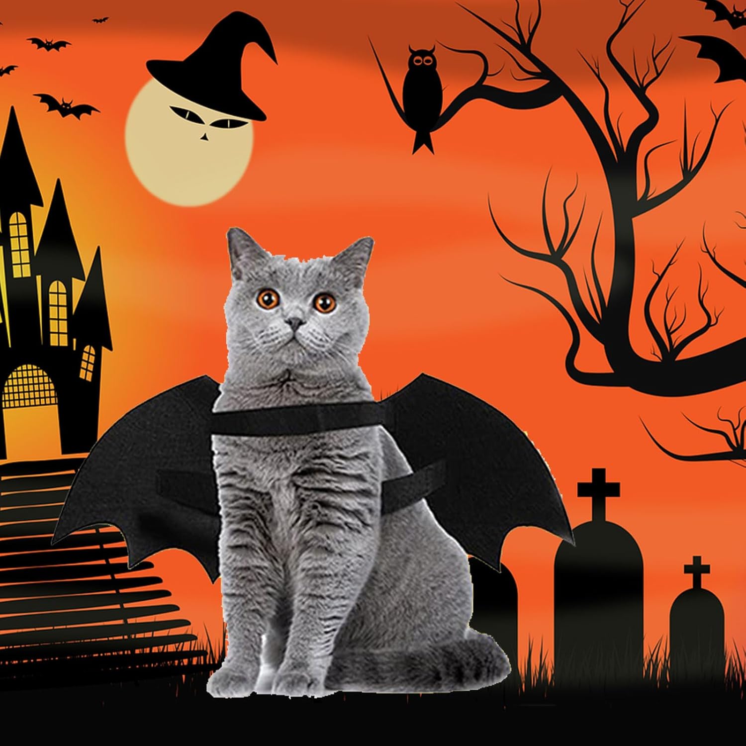 ZIRURUTON Disfraz de Halloween para perro, disfraz genial para mascota, alas de murciélago luminosas, disfraz de cosplay para fiesta temática de