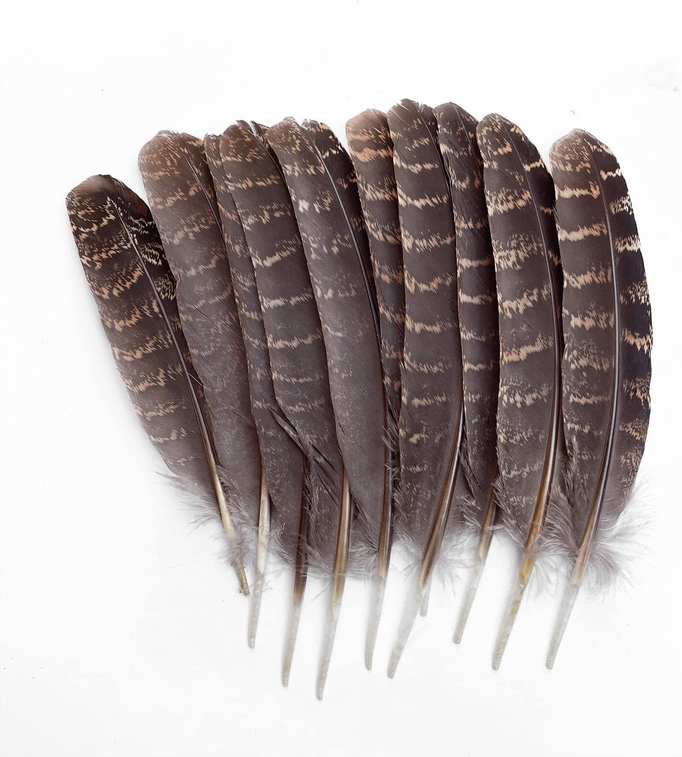 Zamplinka Plumas naturales de pavo de 5 a 7 pulgadas para manualidades de fiesta, decoración de bricolaje por paquete de 10