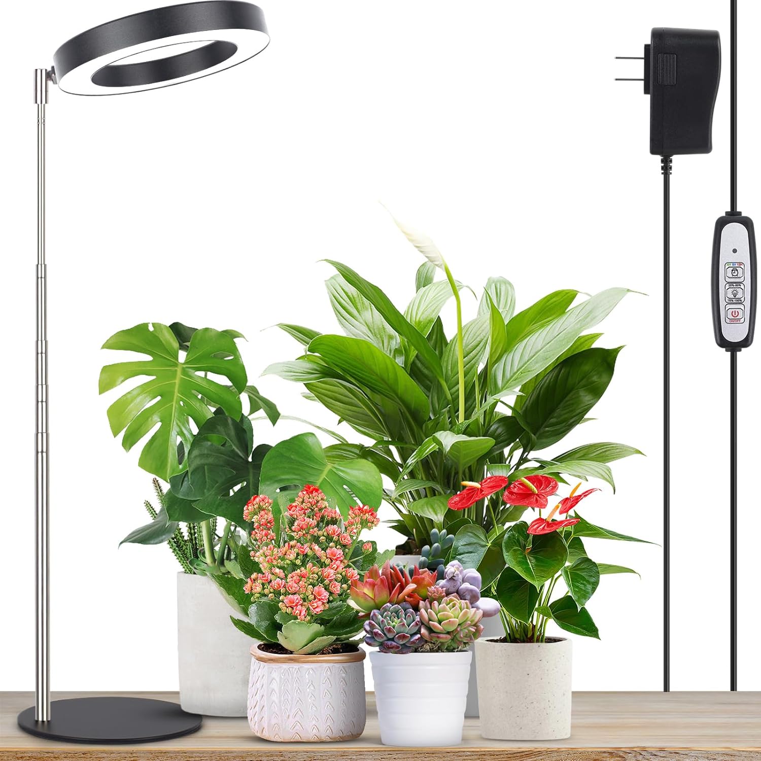 LORDEM Luz de crecimiento, luz LED para plantas de interior, lámpara de crecimiento de escritorio de espectro completo con temporizador automático