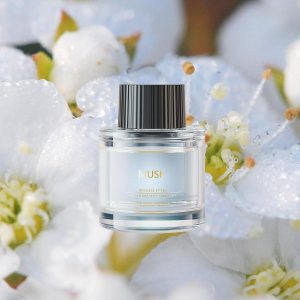 Ceeniu Ambientadores de coche  F26F39  Recambio de perfume dedicado  1.5 fl oz  Se puede utilizar durante 2  6 meses  Fabricado con extractos de Ceeniu Ambientadores de coche  F26F39  Recambio de perfume dedicado  1.5 fl oz  Se puede utilizar durante 2  6 meses  Fabricado con extractos de