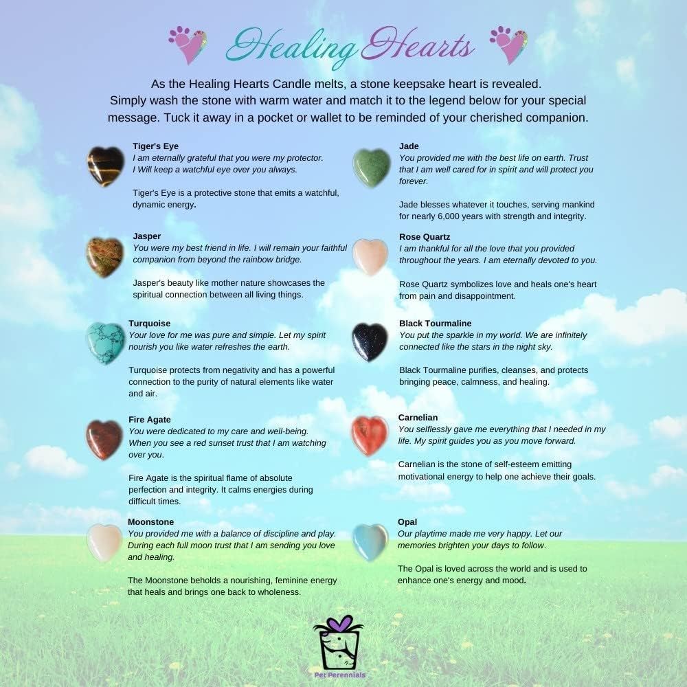 Pet Perennials Healing Hearts – Vela conmemorativa para mascotas, vela de soja con piedra de recuerdo de Feng-Shui (incrustada) Pérdida de regalos