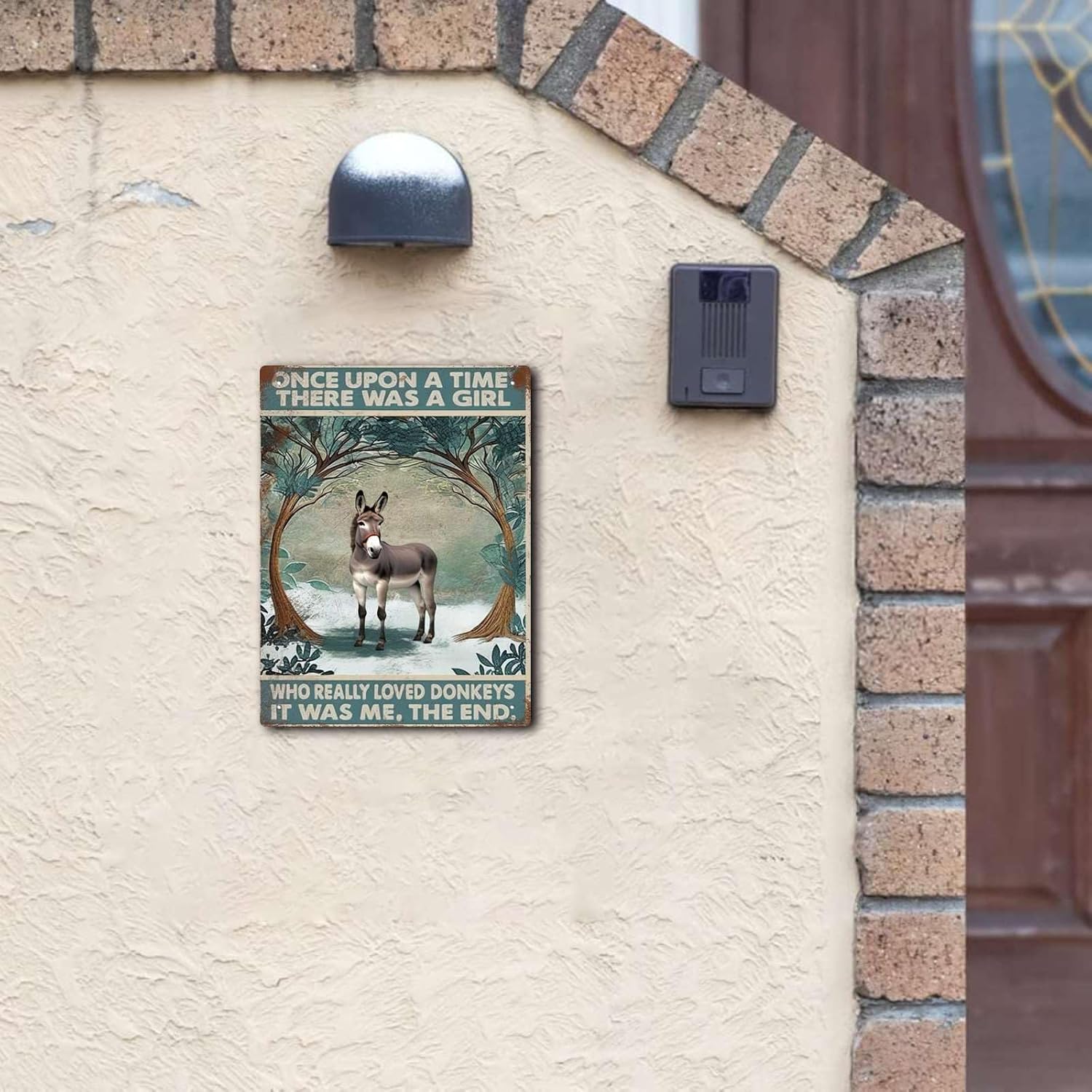 Letrero de hojalata con texto en inglés Once Upon A Time There Were A Girl Who Really Loved Donkey Tin Sign para decoración de pared de jardín,