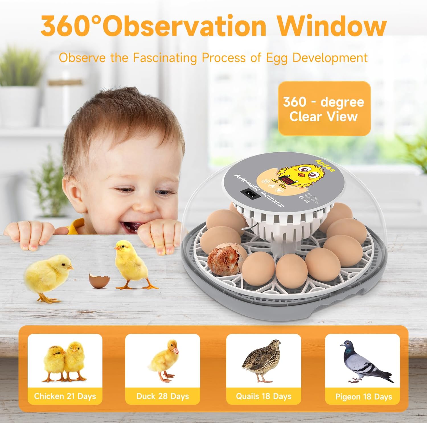 Apdoe Incubadora de 12 huevos, incubadoras para incubar huevos, girador automático de huevos con control de temperatura, vela de huevos, reposición