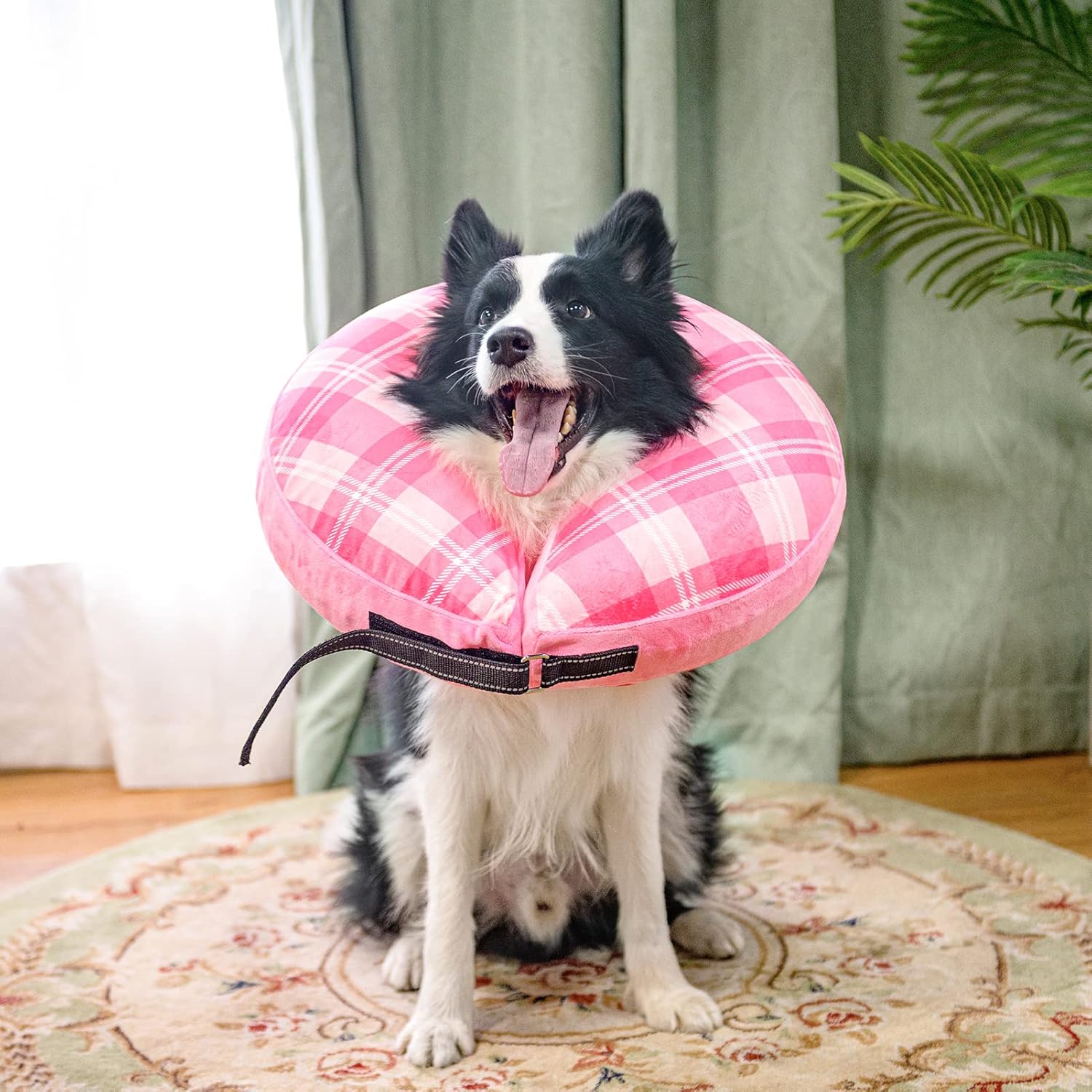 BEAUTYZOO Collar inflable con cono para perros pequeños, medianos y grandes, collar electrónico suave para recuperación de mascotas, alternativa