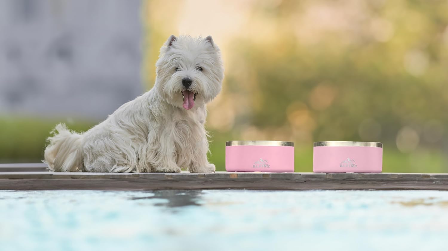 ALPINE Juego de 2 cuencos de acero inoxidable para perros, antideslizantes, de metal para alimentos y agua, aislamiento de doble pared, a prueba de