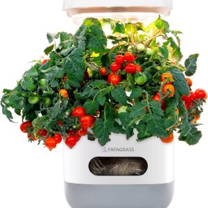 Sistema de cultivo hidropónico de jardín interior, kit de germinación de plantas FAFAGRASS Mini kit de jardín de hierbas para encimera de lámpara de Sistema de cultivo hidropónico de jardín interior, kit de germinación de plantas FAFAGRASS Mini kit de jardín de hierbas para encimera de lámpara de