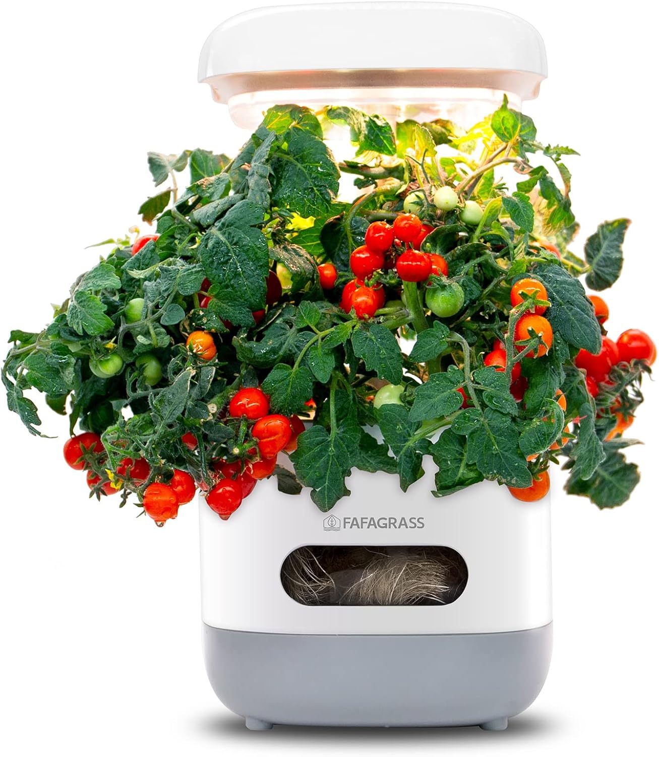 Sistema de cultivo hidropónico de jardín interior, kit de germinación de plantas FAFAGRASS Mini kit de jardín de hierbas para encimera de lámpara de