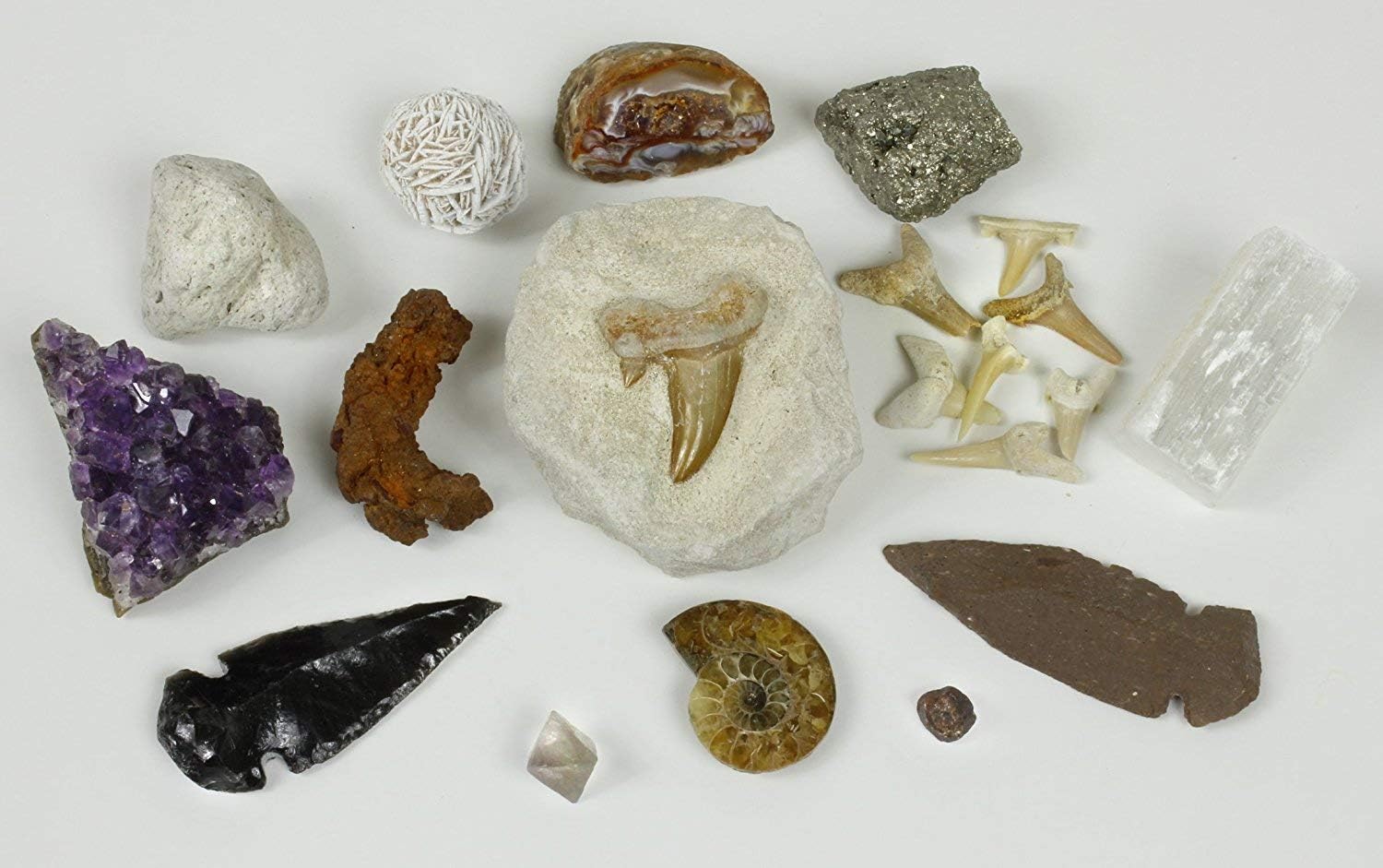 Roca, minerales y fósiles, colección kit de actividades con hojas educativas, amonita, diente de tiburón en matriz, fosilizados, 2geodas y flechas,