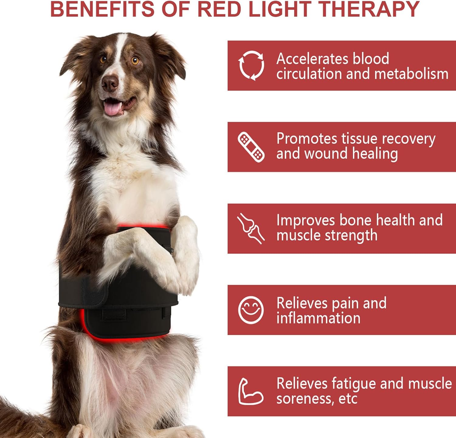 iKeener Dispositivo de terapia con láser frío para perros y seres humanos, terapia de luz roja para perros, terapia láser para mascotas con 128