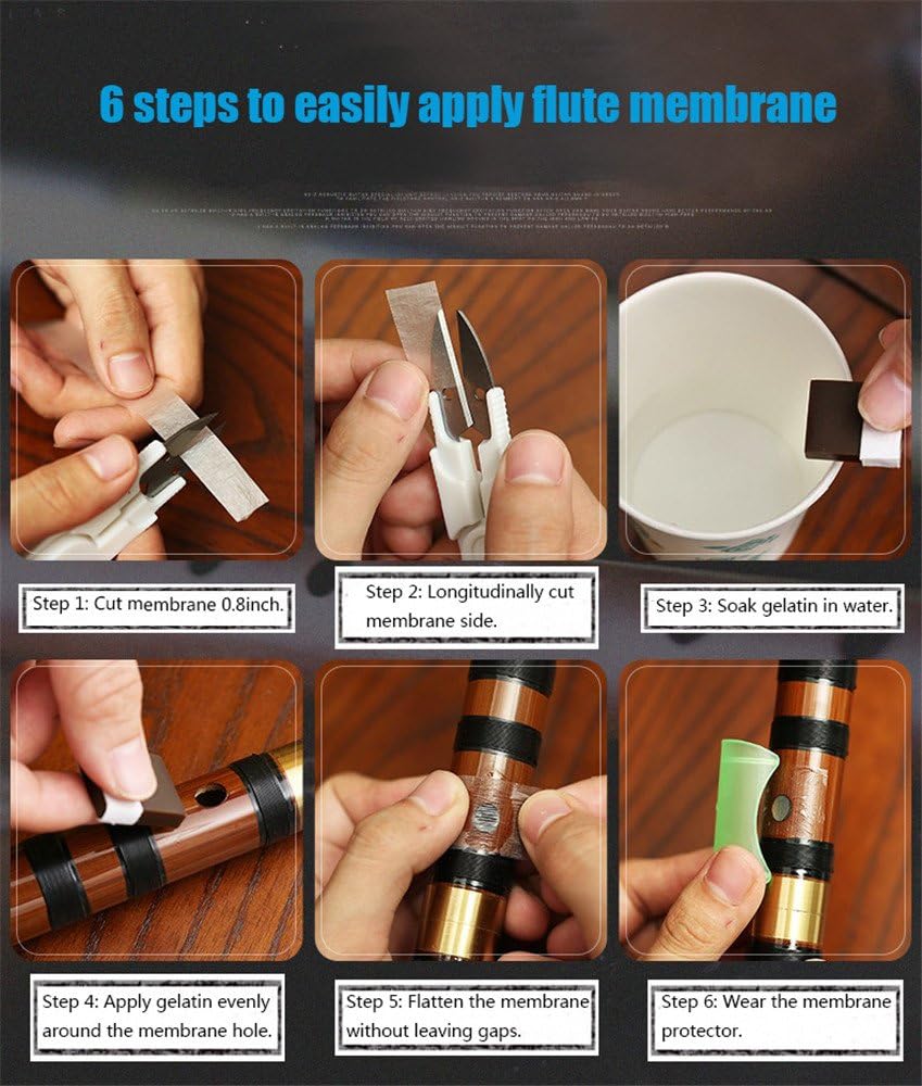 Flauta Dizi (clave de C, D, E, F, G), de bambú amargo, negra, para principiantes y profesionales, con juego de membrana, pegamento y protector. Este