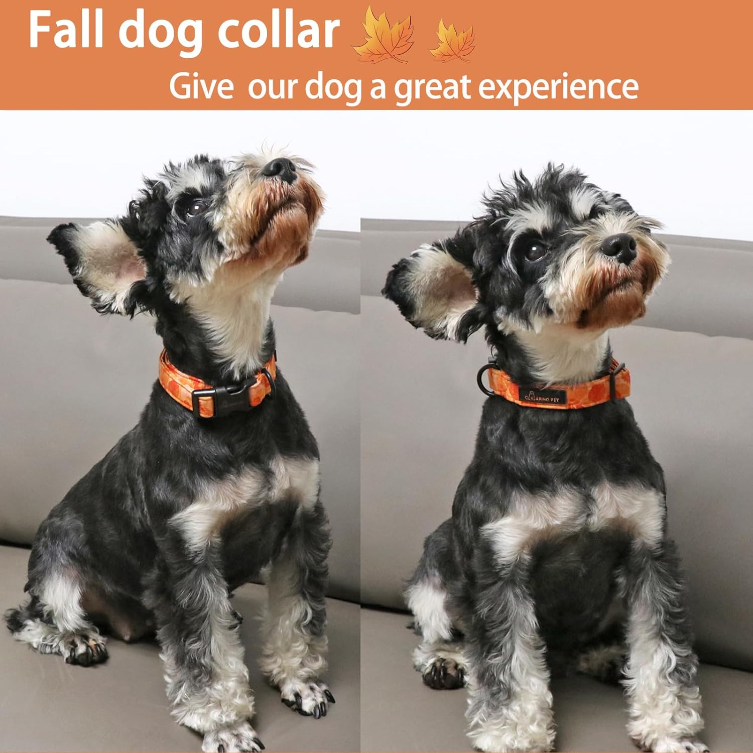 Aring Pet Collar de algodón, ligero y ajustable, con hebilla de liberación rápida para perros pequeños, medianos y grandes, otoño, naranja, hojas