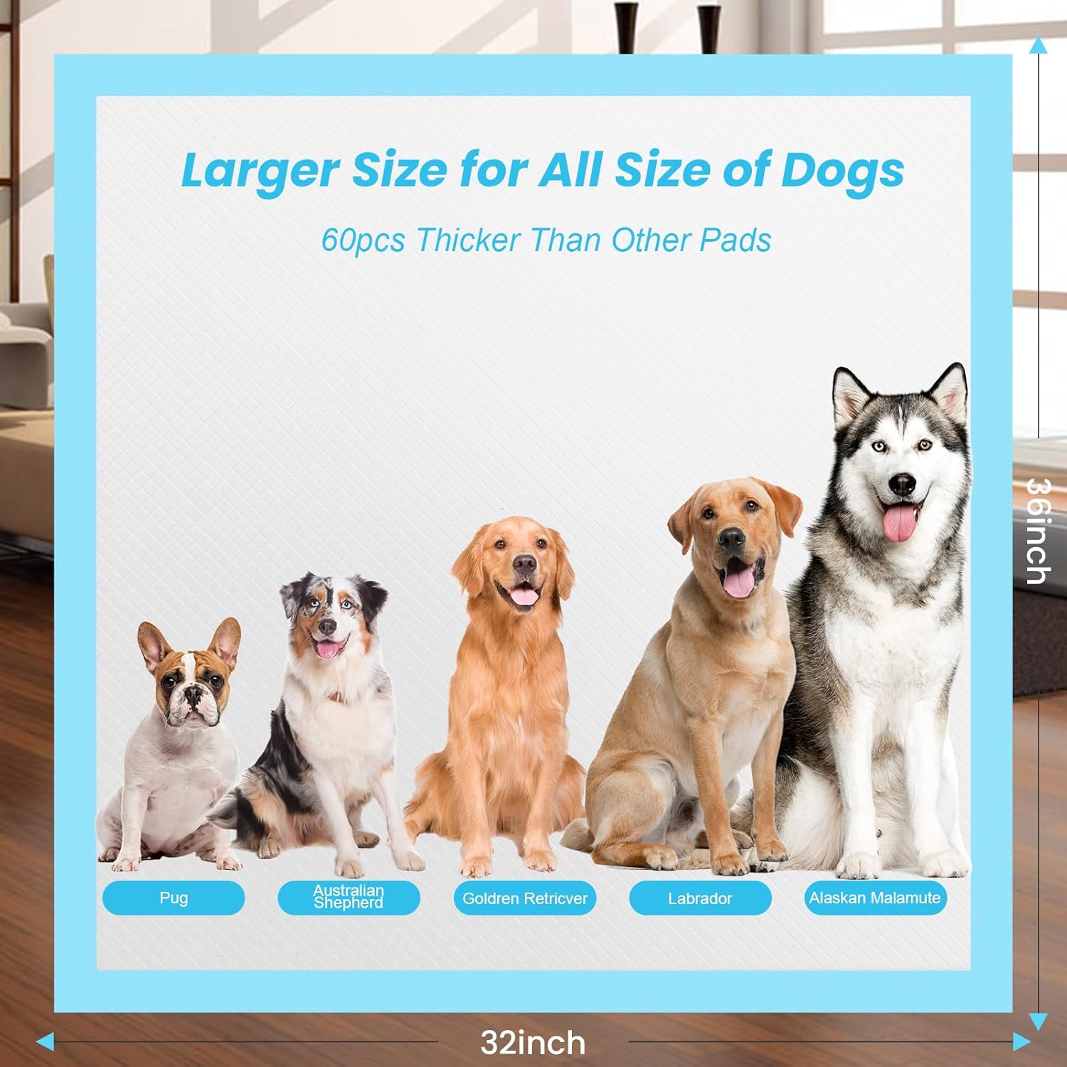 Almohadillas para orinar de cachorros de 32 x 36 pulgadas, 60 unidades, almohadillas extra grandes, a prueba de fugas y superabsorbentes,