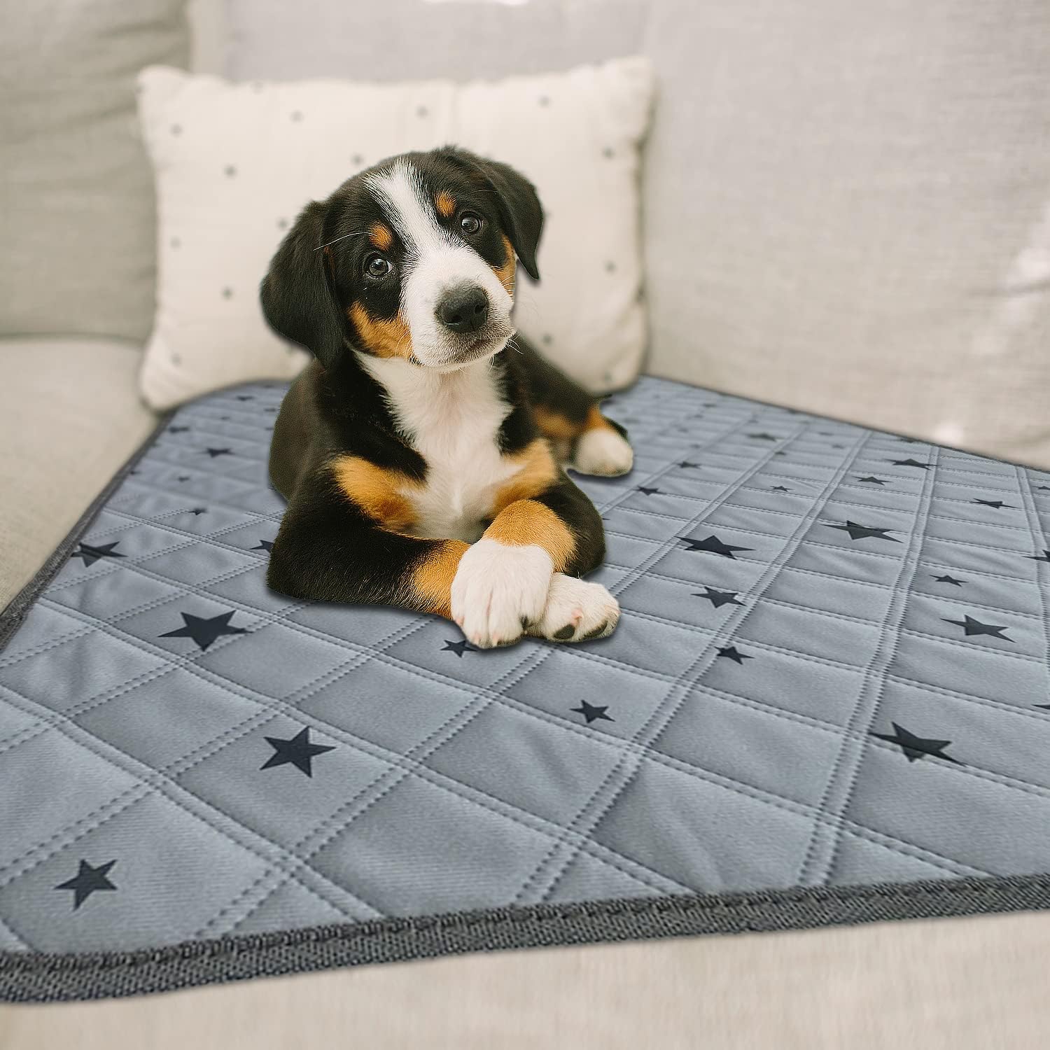 Almohadillas lavables para orina para perros, reutilizables, absorbentes, a prueba de fugas, antideslizantes, para entrenamiento de orinal. 24 x 36