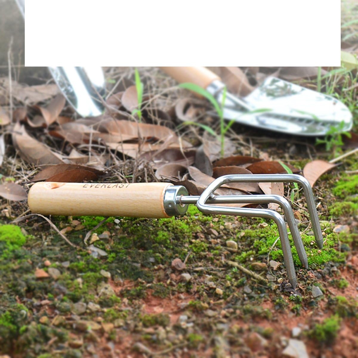 TOPBATHY Mini rastrillo pequeño de acero inoxidable para jardín, agarre firme, mango de madera, rastrillo de garra corta fuerte, herramienta de